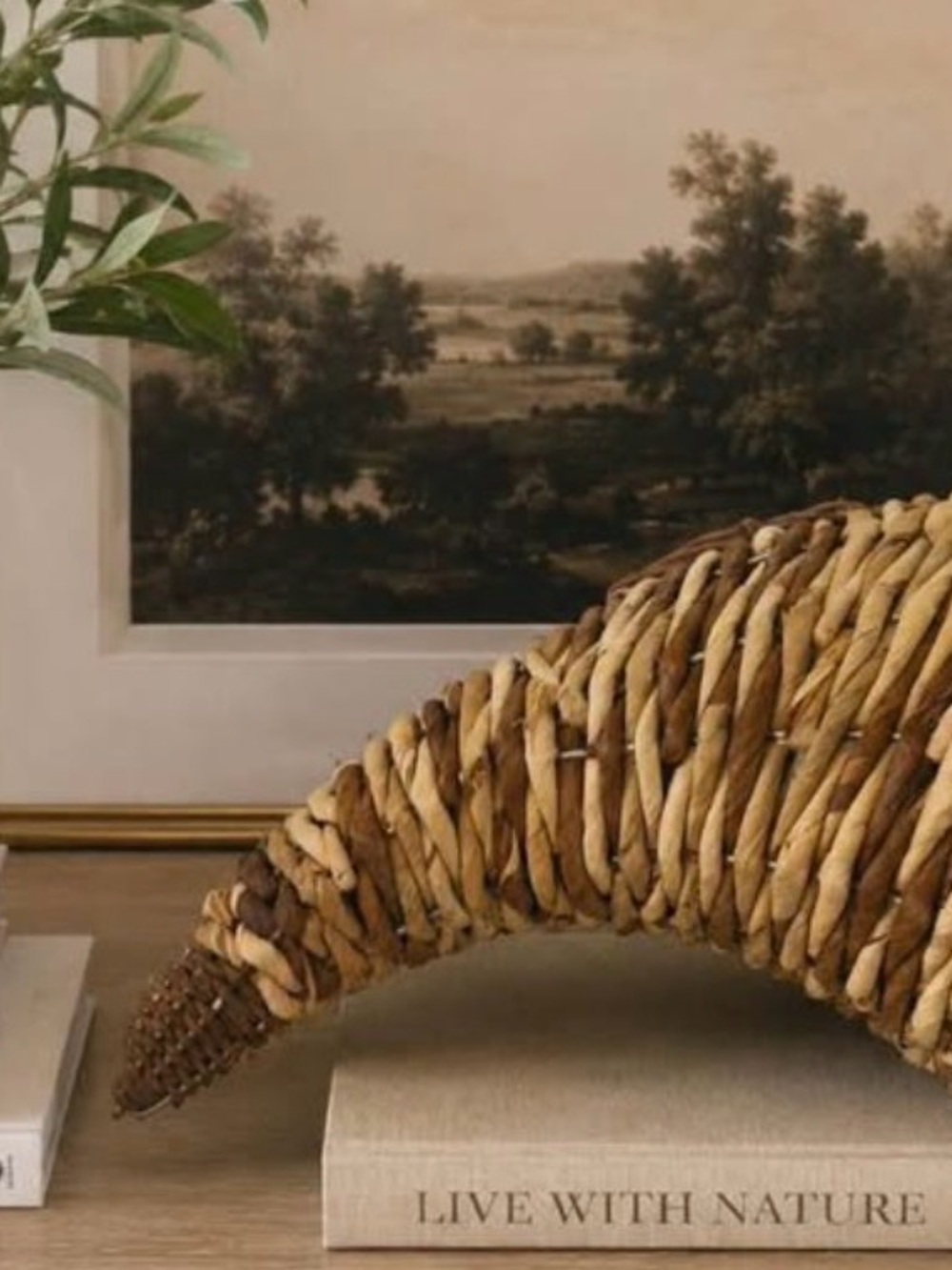 Woven Cornucopia Accent - Natural Brown